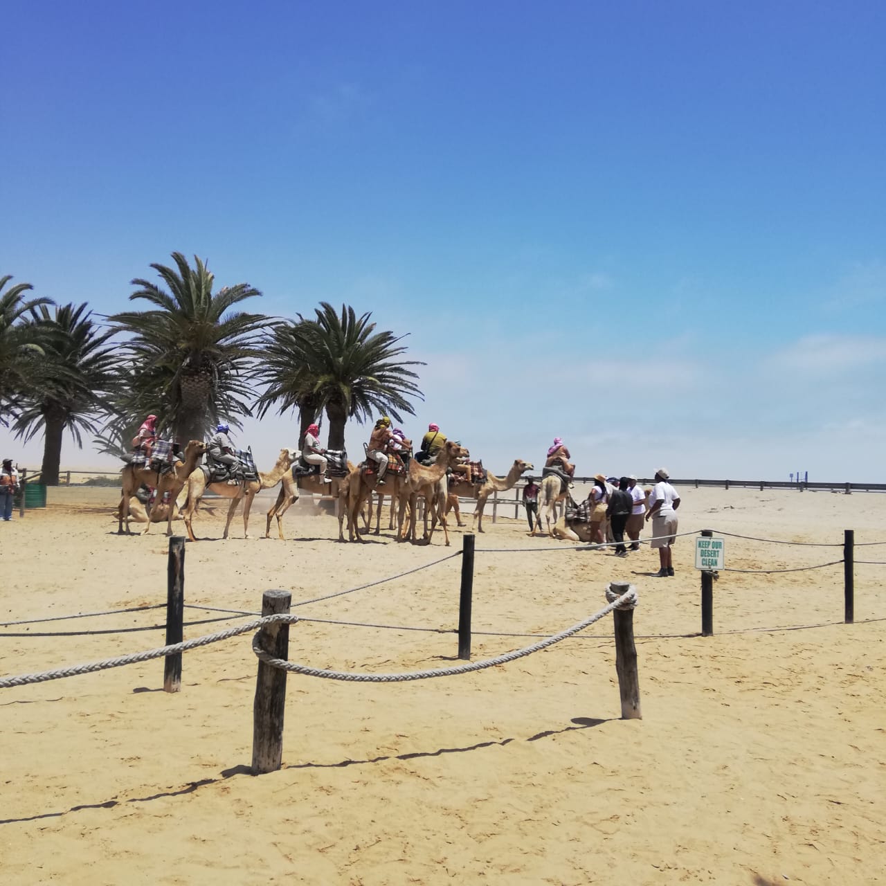 WhatsApp Image 2025-06-20 at 14.05.53